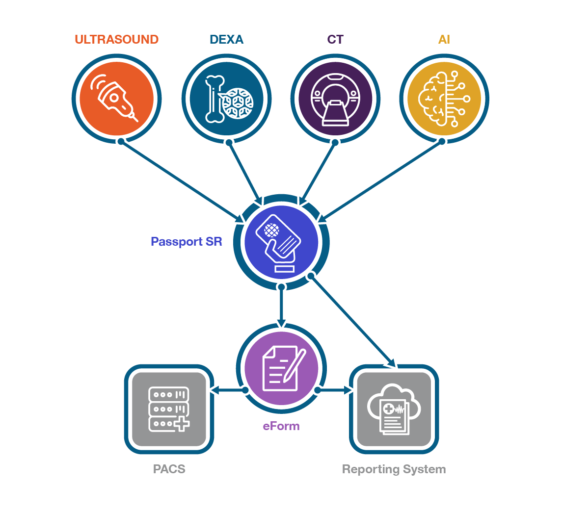 graphic outlining passport SR / forms workflow of US, DEXA, CT, AI to PACS and reporting systems